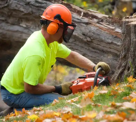 tree services Heart Butte